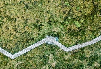 Arial shot of wooden walking track in bush